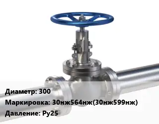 Задвижка нержавеющая 300 30нж564нж(30нж599нж) Ру25